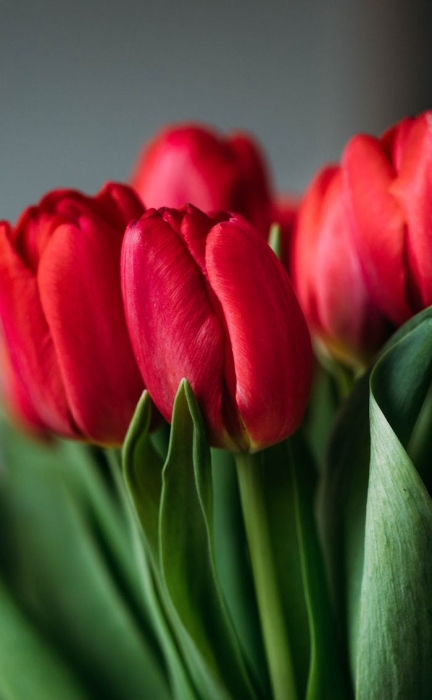 �P����I��ΰlչ����SEO�Ȳ�朳�Ҋ���F��ʽ��վ�c������朽ӵ����c���h